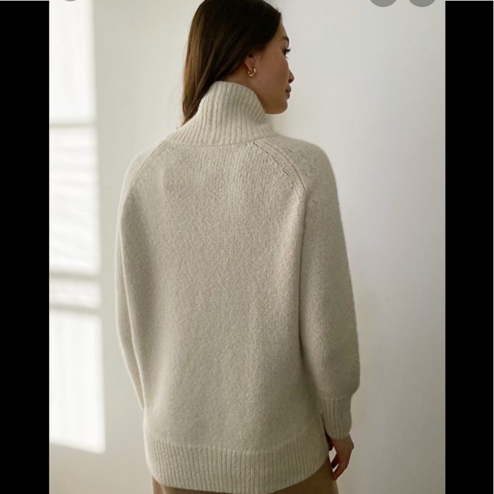 Aritzia BABATON turtle neck Alpaca sweater